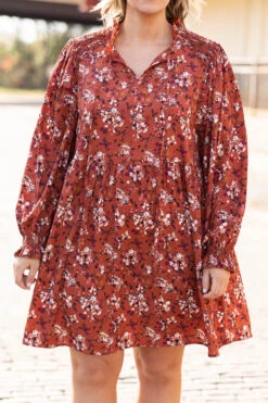 Morning Walk Dress, Rust -Deals Swish Tex Store MorningWalkDress Rust 1917