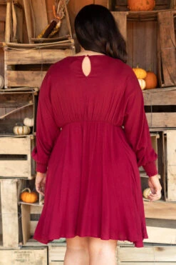 Strawberry Fields Dress, Burgundy -Deals Swish Tex Store StrawberryFieldsDress Burgundy 7580